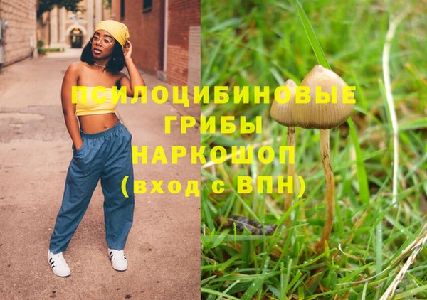 шишки Ладушкин